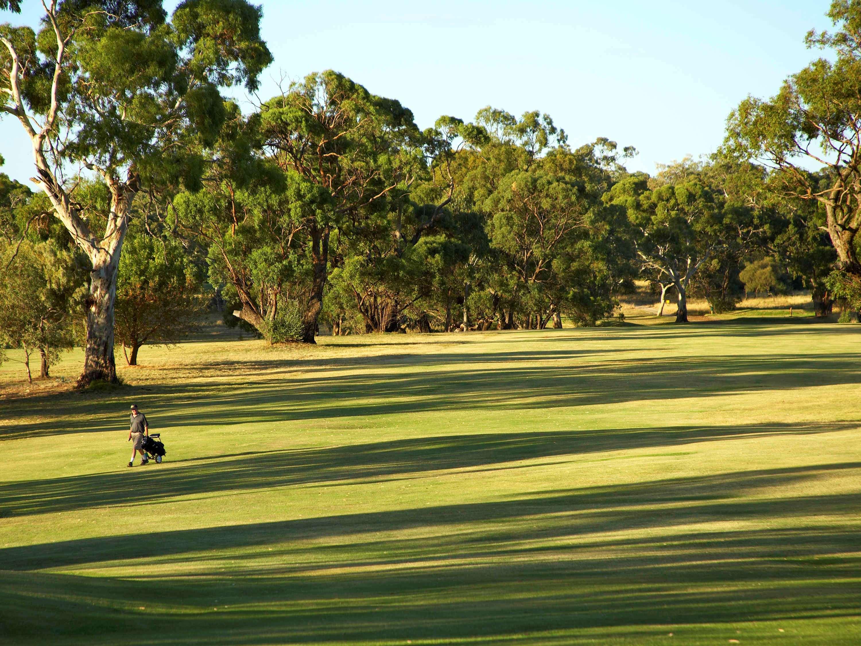 Novotel Barossa Valley Resort Rowland Flat Exterior foto