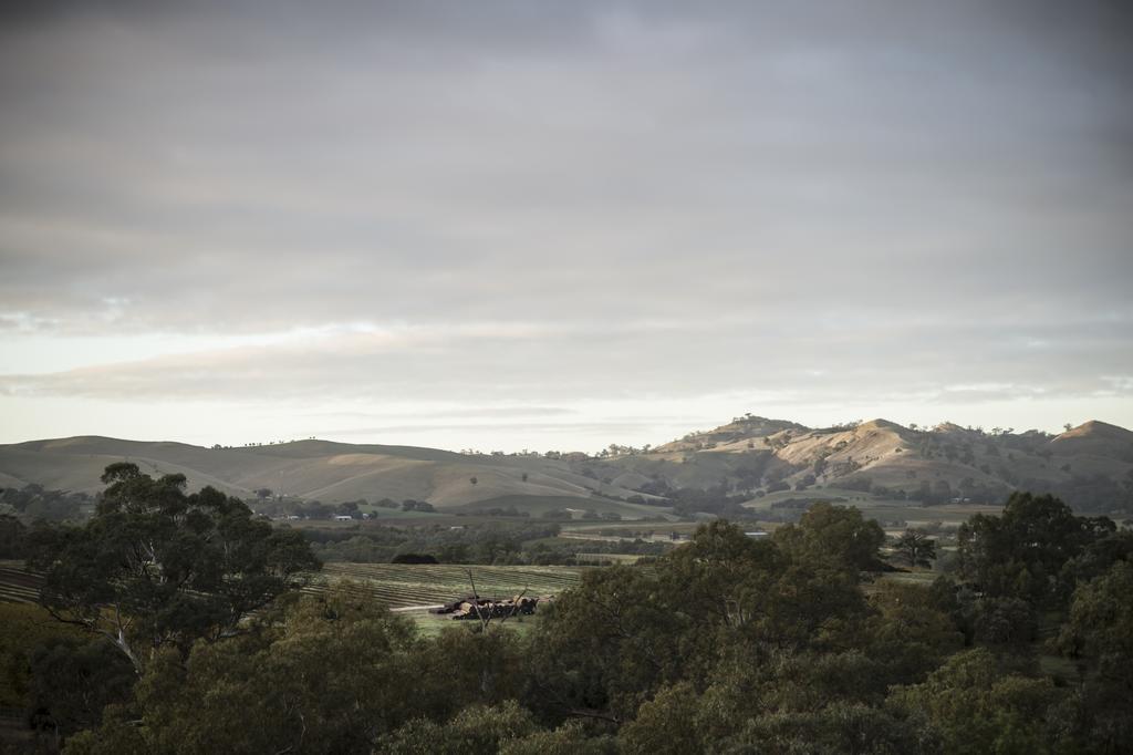 Novotel Barossa Valley Resort Rowland Flat Exterior foto
